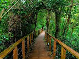 «La Naturaleza en caminos»